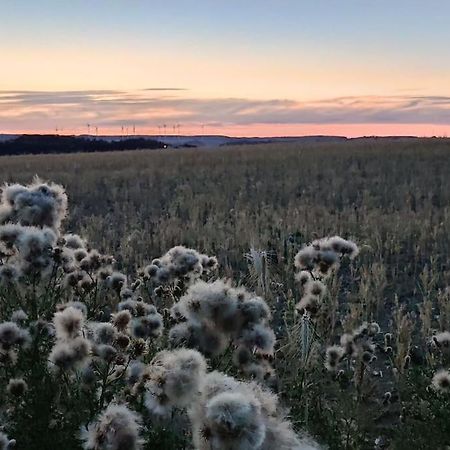Ferienwohnung Kleinmann In Kordel Exteriör bild