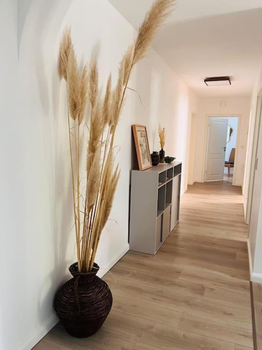 Ferienwohnung Kleinmann In Kordel Exteriör bild